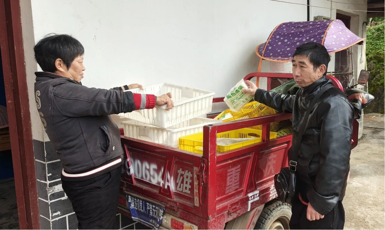 微信图片_2025-12-11_095601_478.jpg