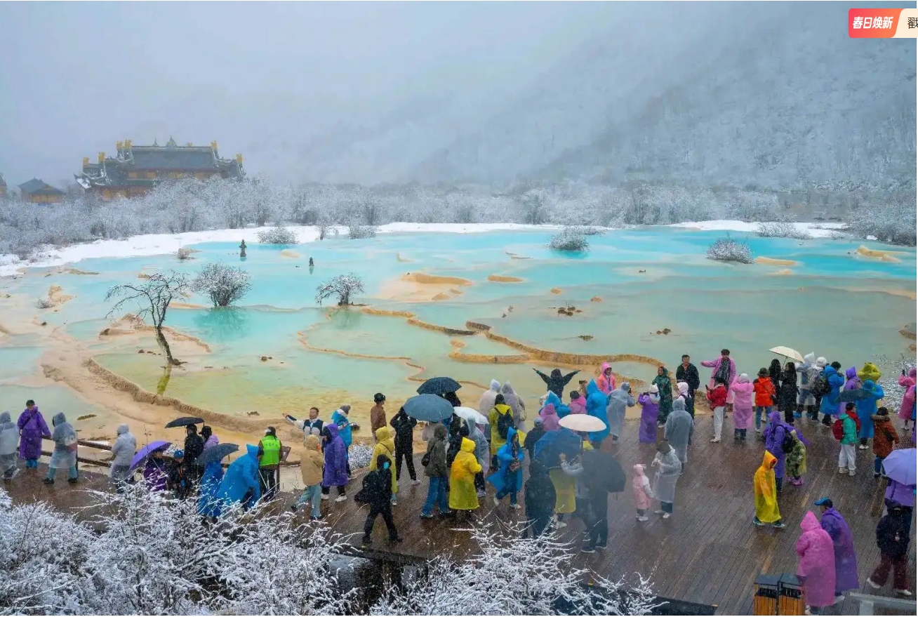 微信截图_20260502101305.png